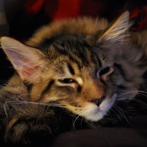 Meet your Posher, Aj